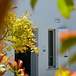 Mediterranea - Seaview, Pool & Garden Daire *